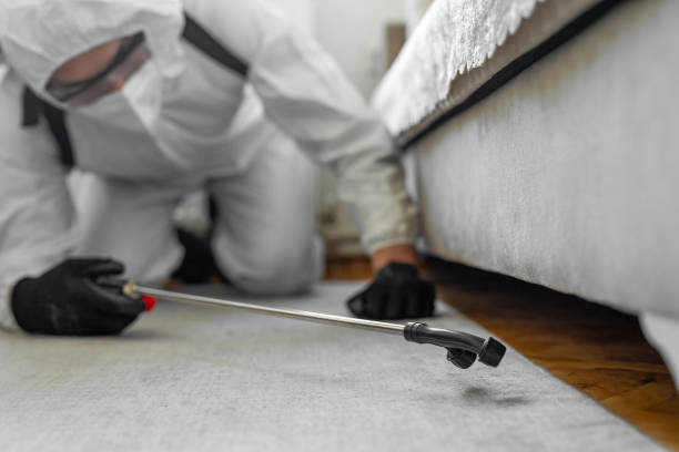 Professional Pest Control technician working in Prairie du Chien, WI